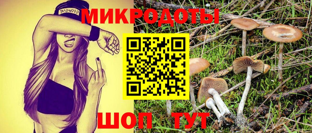 Галлюциногенные грибы мицелий Красногорск