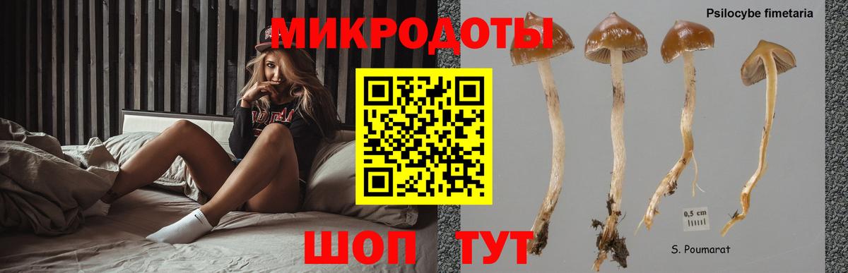 Галлюциногенные грибы Psilocybine cubensis  Вход с VPN  Красногорск  Псилоцибиновые грибы мицелий 